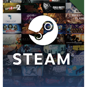 Steam Gift Card (100$ Global)
