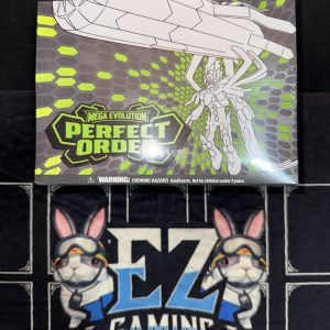 Elite Trainer box Perfect order