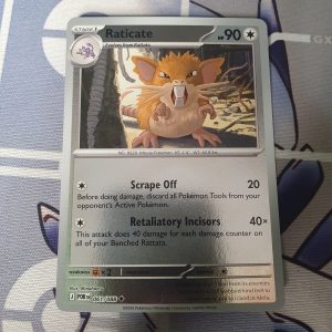 Raticate - 061/088 - ME03: Perfect Order (POR)