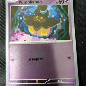 Pumpkaboo (Reverse Holo) -040/086- ME04: Chaos Rising (CRI)
