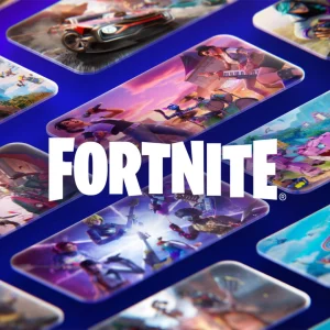 Fortnite/Epic Games (100 $ USA)